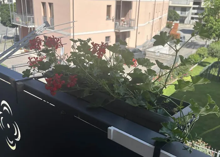 Apartmán House *